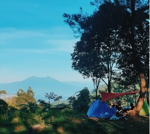 Bukit Pinus Paseban Camp